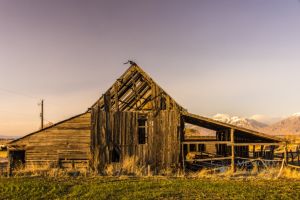 Old Barn (21)-c96.jpg
